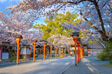 Hirano-jinja shrine is the site of a cherry blossom festival annually since 985 during the reign of...