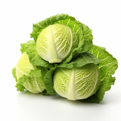 Fototapeta premium fresh cabbage isolated on white background