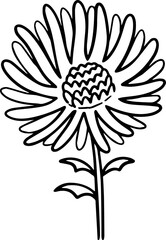 cartoon flower drawing illustration.