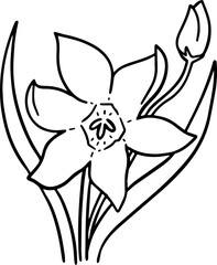 cartoon flower drawing illustration.