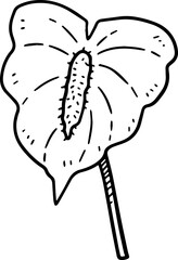 cartoon flower drawing illustration.