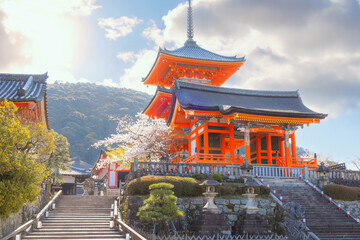 Kiyomizu-dera templein Kyoto, Japan with beauiful full bloom sakura cherry blossom in spring - 701565822