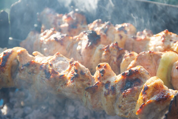 Grilled kebab cooking on metal skewer. Roasted meat cooked at barbecue.Traditional eastern dish,...