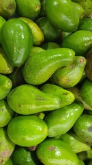 Close up pile of tasty fresh avocados sold at the market as a background.