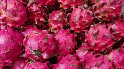 Close up pile of tasty fresh dragon fruits sold at the market as a background.