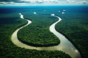 Foto op Plexiglas Aerial view of mangrove forest and river, Thailand, AI Generated © Iftikhar alam