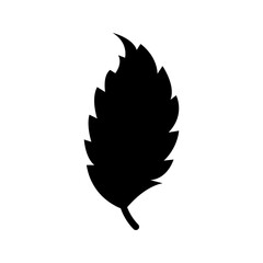Leaf icon PNG