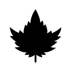 Leaf icon PNG