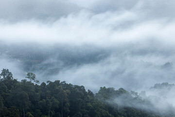 Landscape misty. Fantastic dreamy sunrise on rocky mountains