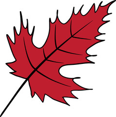 red maple leaf