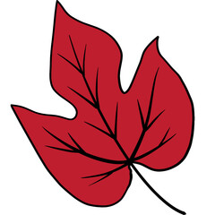 red maple leaf