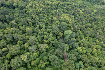 Top view of countryside road passing through the green forrest and mountain