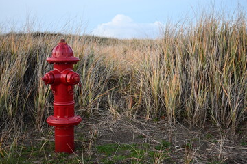 Red fire hydrant on grass filled sand dune.
