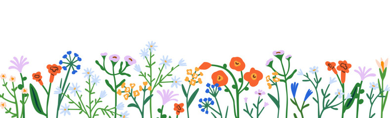 Floral border, horizontal botanical decoration. Spring field and meadow flowers, natural decor, panorama. Fragile delicate banner, wildflowers. Flat vector illustration isolated on white background