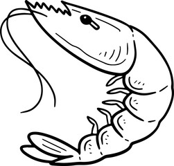 cute cartoon shrimp drawing.