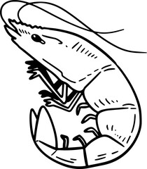 cute cartoon shrimp drawing.
