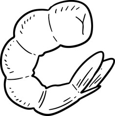 cute cartoon shrimp drawing.