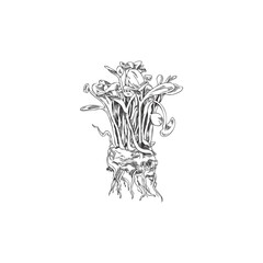 Rape microgreen, hand drawn sketch vector illustration isolated on white
