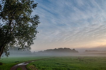 In this tranquil landscape, a curving dirt path leads through a fresh, green meadow blanketed with morning mist. A single, stately tree stands to the left, its leaves whispering in the gentle breeze