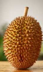 Kunyit durian or Musang King durian. It tastes delicious, thick fleshy, sweet and sticky.