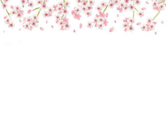 Obraz na płótnie Canvas 水彩和風の控え目桜フレーム（上部）