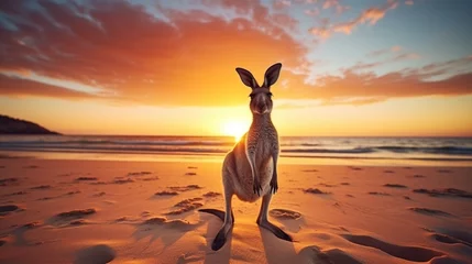 Foto op Plexiglas the graceful silhouette of a kangaroo against the soothing scenery of the beach © Pretty Panda