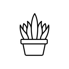 Succulent plant outline icons, minimalist vector illustration ,simple transparent graphic element .Isolated on white background