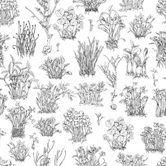 Seamless pattern with hand drawn monochrome different micro-green sprouts - obrazy, fototapety, plakaty