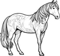 Coloring page Animals Cartoon clipart for kids illustration book