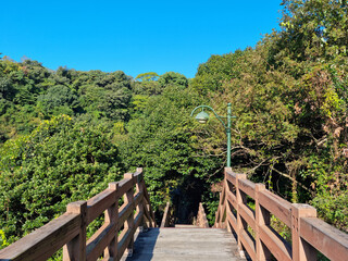 It is a forest road with a wooden deck.