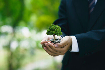 Green investment to a sustainable environment. Businessman holding coins and planting trees. Business company or organization that cares about responsible environmental, social, and governance. - obrazy, fototapety, plakaty