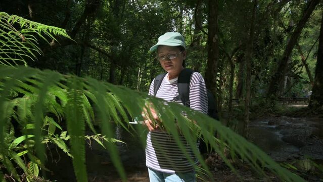 Asian female ecologist is studying the growth and habitat of large fern in tropical rainforest. Ecosystem and Biodiversity. Environmental conservation. UHD. 4K.