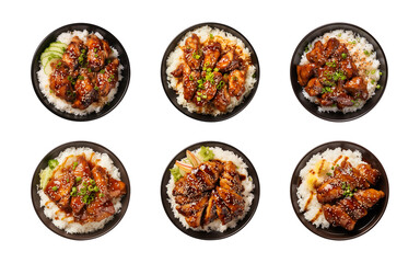 Collection plate of teriyaki chicken with rice isolated on a transparent background, top view