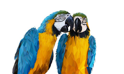 transparency Polygon Graphics Blue and yellow two macaw parrot illustration