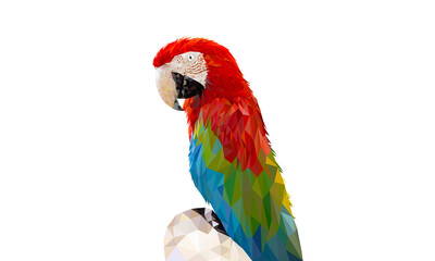 transparency image Polygon Graphics Red and green color macaw parrot illustration