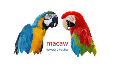 Polygon Graphics two bird macaw parrot illustration transparency © piyaphunjun