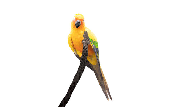 Graphics Polygon Image Parrot sitting on a branch transparency illustration