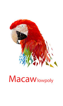 transparency image Polygon Graphics Red and green color macaw parrot illustration