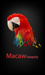 Polygon Graphics red macaw parrot on black background vector illustration © piyaphunjun