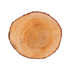 tree trunk wooden cutting board in white isolation transparent background