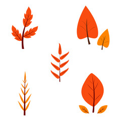 Set of Autumn Leaves. Isolated On White Background. Vector Icon
