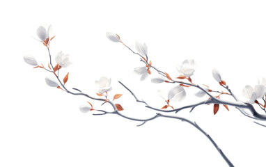 A Visionary Display of Dynamic Botanicals on White or PNG Transparent Background