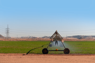 Center pivot system irrigation. Watering crop in field at farm. Modern irrigation system for land and vegetables growing on it - Sahara Desert, Egypt