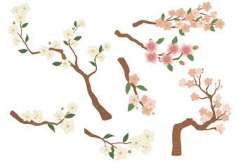 Vector illustration of flower trees.