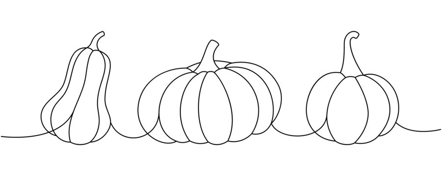 Autumn pumpkins. Pumpkins one line continuous drawing. Autumn halloween vegetables continuous one line illustration.