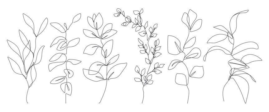 Continuous Line Drawing Of Plants Black Sketch of Flowers Isolated on White Background. Flowers with Leaves Set One Line Illustration. Minimalist Botanical Print. Vector EPS 10