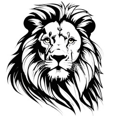 Lion head sketch hand draw