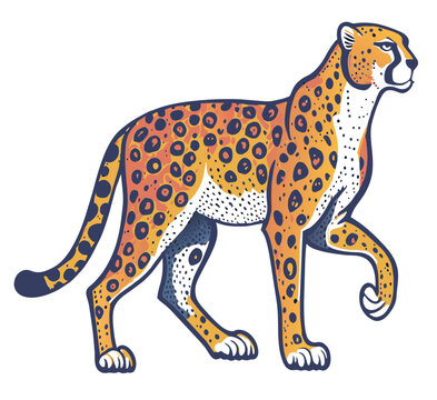 illustration cheetah vector 