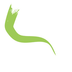 Colored Abstract Grunge Paint Brush Stroke Design Element