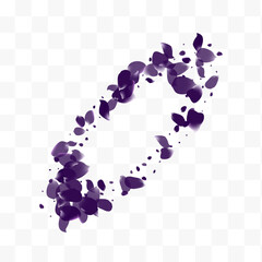 Beautiful Blossom Dutch Vector White Transparent